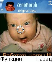   ZenoMorph
