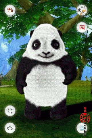   Crouching Panda  Android OS