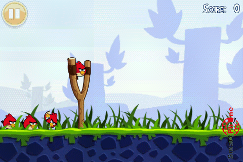 ����� ���� Angry Birds ��� Android OS