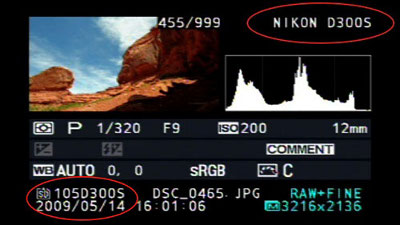 Утечка на сайте nikon подтверждает существование новой зеркальной камеры nikon d300s