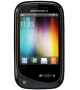 Motorola WILDER