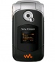 Sony Ericsson W300i