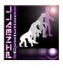 Pinball Evolution v1.1 для Windows Mobile 5.0, 6.x for Smartphone