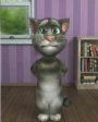 Talking Tom v1.00 для Windows Mobile 5.0, 6.x for Pocket PC