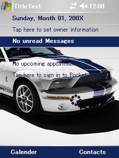 Shelby Mustang -  1