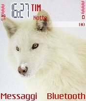 White Wolf -  1