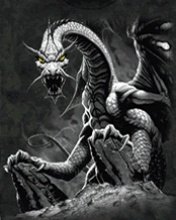 Black Dragon -  1