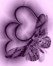 Purple Butterfly -  2