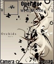 Orchids -  1