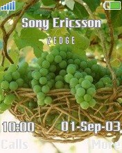 Fruit - �������� 1