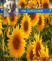 Sun Flowers -  1