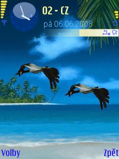 Animated Sea Birds -  1