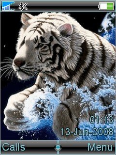 Animated Tiger -  1