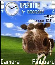 The Big Nose Arwen -  1