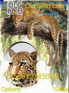 Leopard-animated -  1