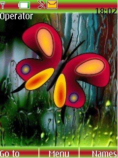 butterfly -  1
