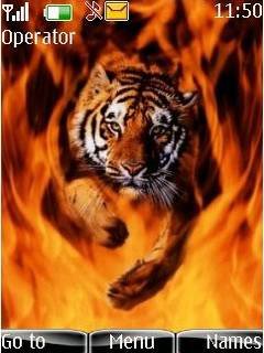 Flaming Tiger -  1