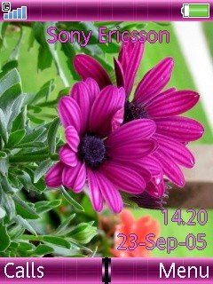 Purple Crans Flower -  1