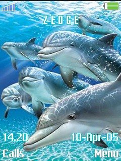 Dolphin Blue -  1