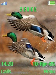 Ducks Unlimited -  1