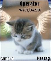 Angel Kitty -  1