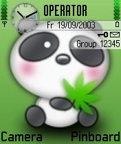 Cute Panda -  1