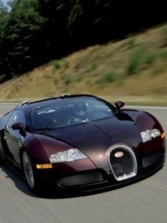 Bugatti Veyron -  2