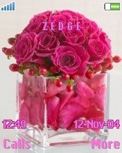 Pink Roses -  1