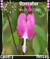 Pinkflower -  1