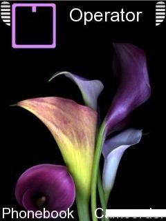 Purple Flower -  1