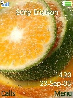 Citrus Orange -  1
