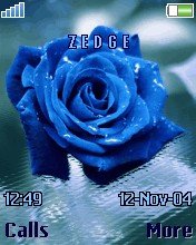 Blue Rose -  1