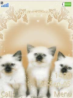 Three Cats -  1