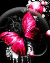 Pink Butterfly -  1