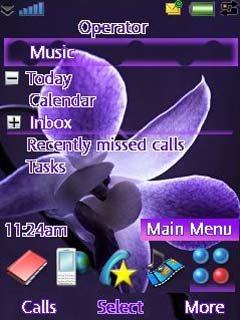 Purple Orchid -  1