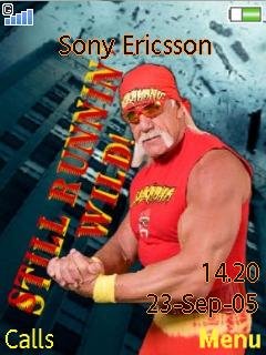 Hulk Hogan -  1