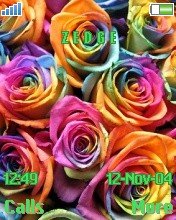 Colourful Roses -  1