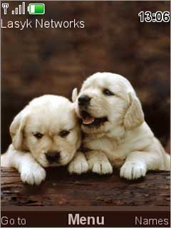 Cute Puppies -  1