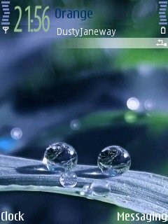 Dew Drops -  1