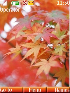 Autumn Leaves -  1