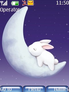 Sleeping Bunny -  1