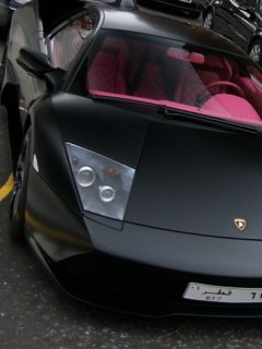 Ferrari-lamborgini -  2