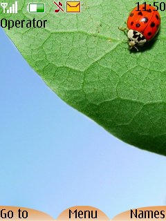 Ladybug Friends -  1