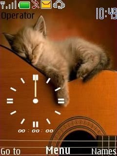Sleeping Cat Guitar -  1