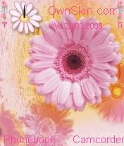 Pink Daisy -  1