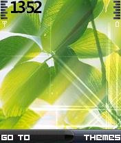 Green Leaf -  1