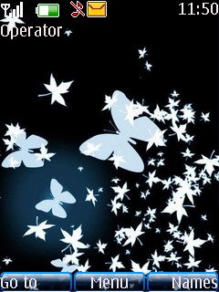 Butterflies -  1