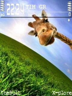 Giraffe -  1