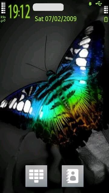 Butterfly -  1
