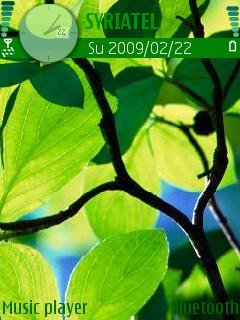 Green Leaves -  1